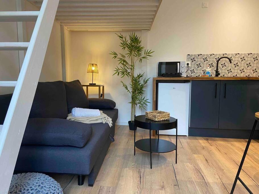 Charmant Studio Vierzon Eksteriør bilde